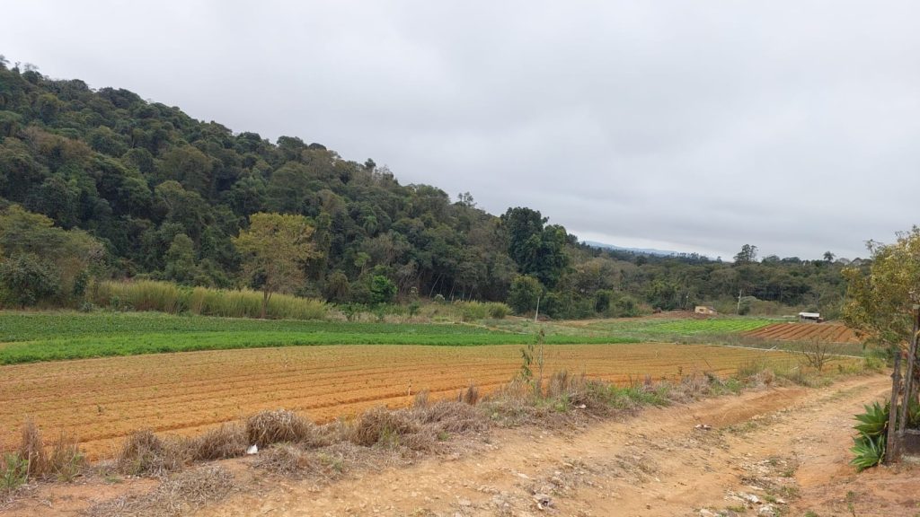 RURAIS CHACARA DOS IRMAOS 1 min