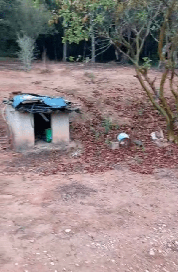 RURAIS CHACARA DOS IRMAOS 2 min